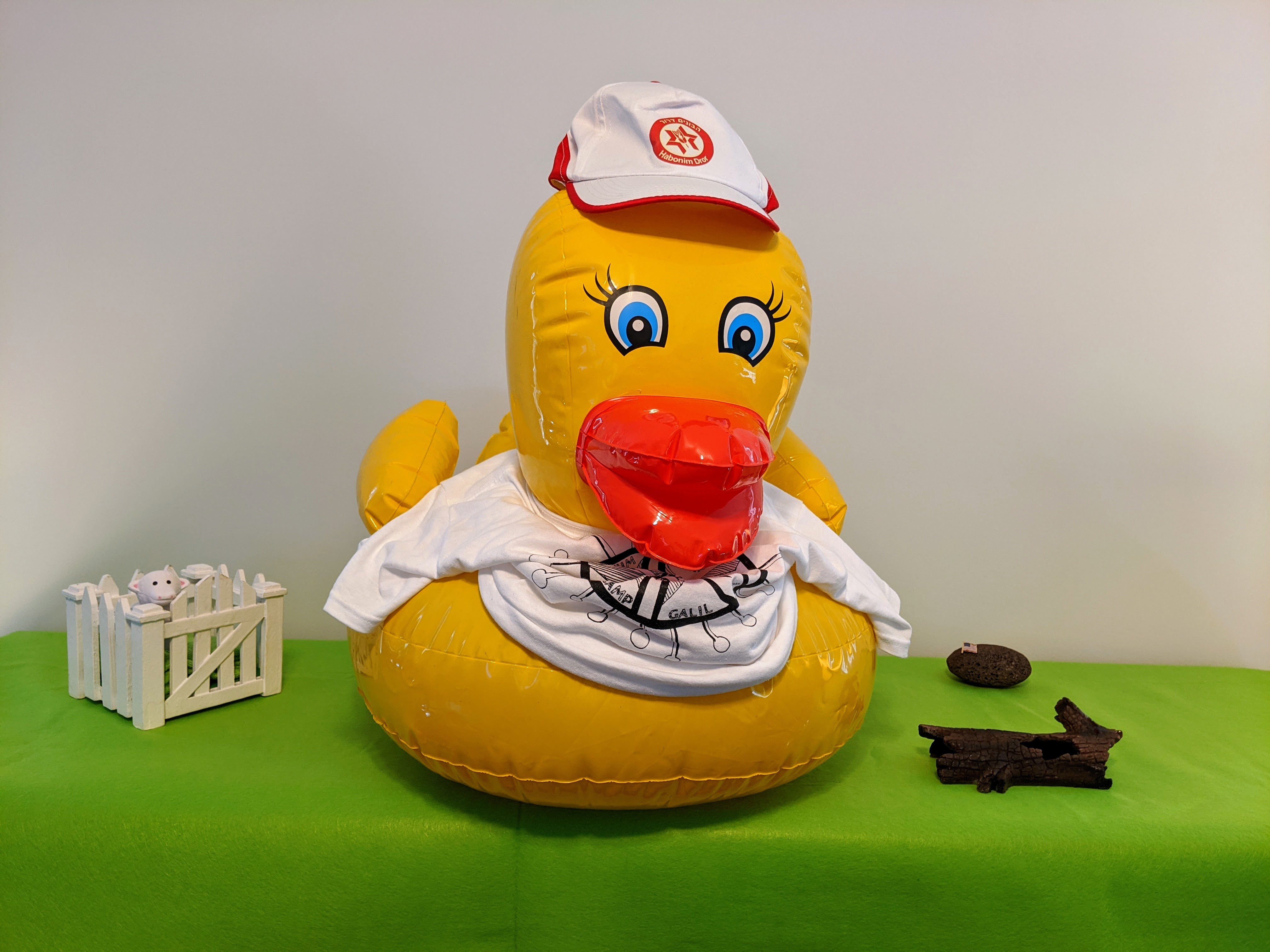 Inflatable Ducky – Duck of the Day